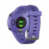 Часы Garmin Forerunner 45S ирис