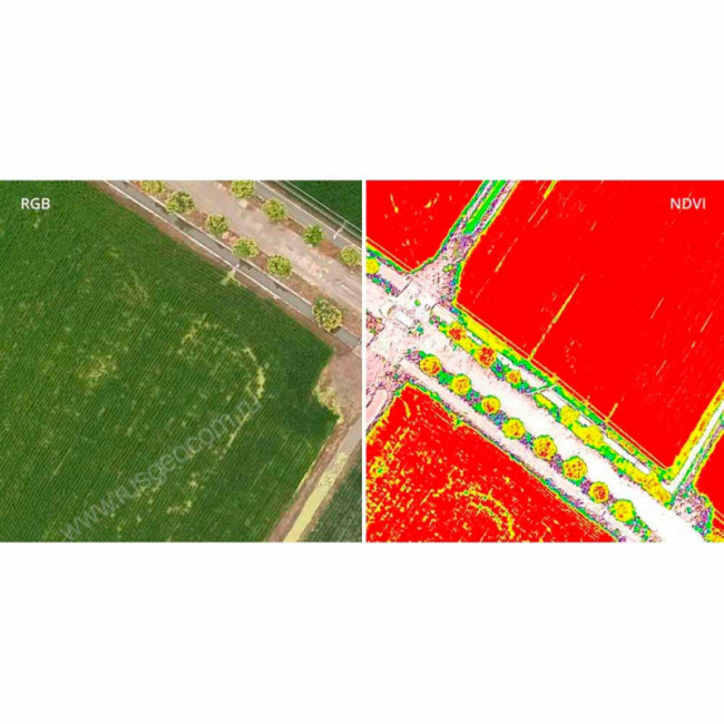 Квадрокоптер DJI Phantom 4 Multispectral + Мобильная станция D-RTK 2 High Precision GNSS
